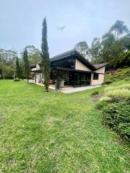 Fourth Image